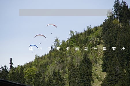 建行信用卡逾期一年要还多少