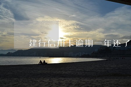 建行信用卡逾期一年还了能解冻吗