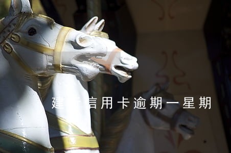 建行信用卡逾期一星期 建行信用卡逾期一星期