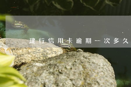 建行信用卡逾期一次多久才能清除 建行信用卡逾期一次多久才能清除