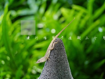 建行信用卡逾期三个月还不上 建行信用卡逾期三个月还不上