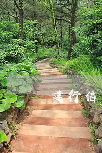 建行信用卡逾期三天行吗