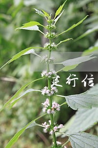 建行信用卡逾期三期 建行信用卡逾期三期