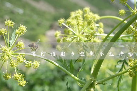 建行信用卡逾期不允许协商 建行信用卡逾期不允许协商