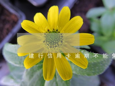 建行信用卡逾期不能免息 建行信用卡逾期不能免息
