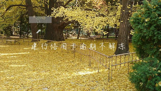 建行信用卡逾期不解冻 建行信用卡逾期不解冻