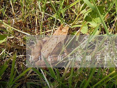 建行信用卡逾期不超过60天 建行信用卡逾期不超过60天