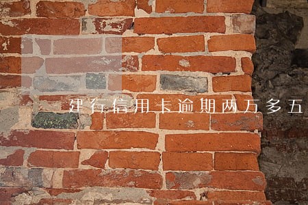 建行信用卡逾期两万多五个月 建行信用卡逾期两万多五个月