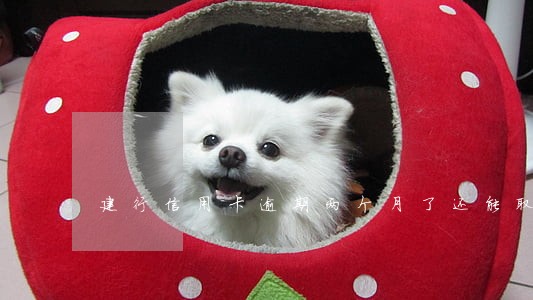 建行信用卡逾期两个月了还能取吗