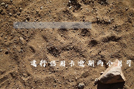 建行信用卡逾期两个月可以取吗