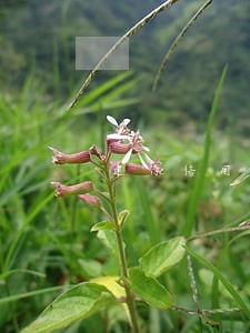建行信用卡逾期两个月还清 建行信用卡逾期两个月还清