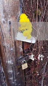 建行信用卡逾期两天忘记还会怎样