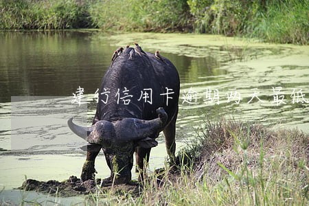 建行信用卡逾期两天最低还款