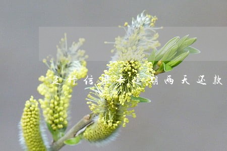 建行信用卡逾期两天还款行吗