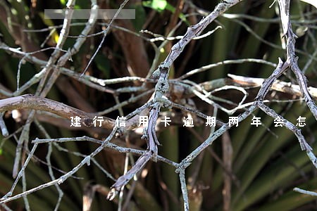 建行信用卡逾期两年会怎样