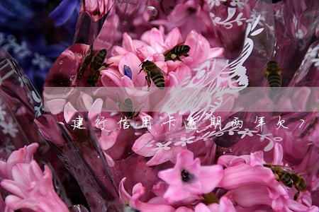 建行信用卡逾期两年欠7000