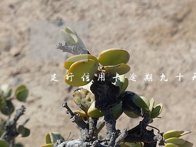建行信用卡逾期九十天 建行信用卡逾期九十天