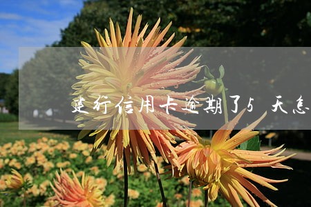 建行信用卡逾期了5天怎么办 建行信用卡逾期了5天怎么办