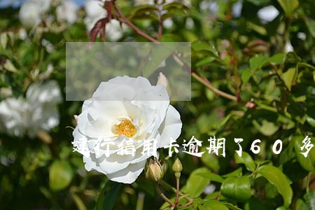 建行信用卡逾期了60多天 建行信用卡逾期了60多天