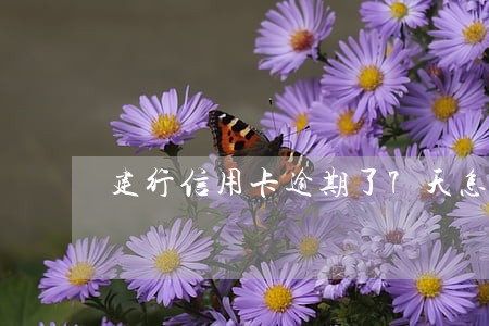 建行信用卡逾期了7天怎么办 建行信用卡逾期了7天怎么办