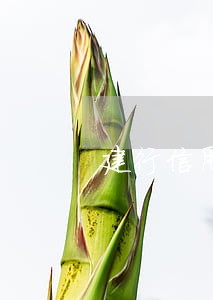建行信用卡逾期了一天有利息吗