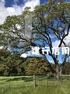 建行信用卡逾期了一年 建行信用卡逾期了一年