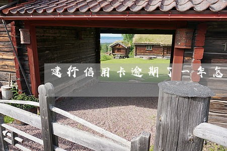 建行信用卡逾期了一年怎么办 建行信用卡逾期了一年怎么办