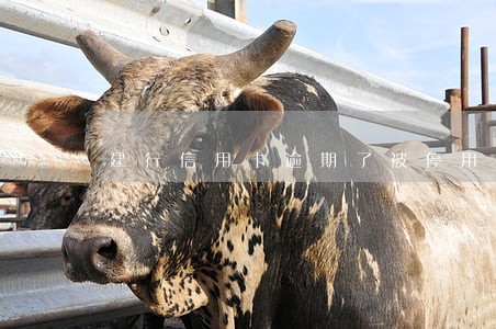 建行信用卡逾期了被停用了 建行信用卡逾期了被停用了