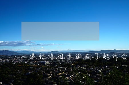 建行信用卡逾期了起诉会怎样