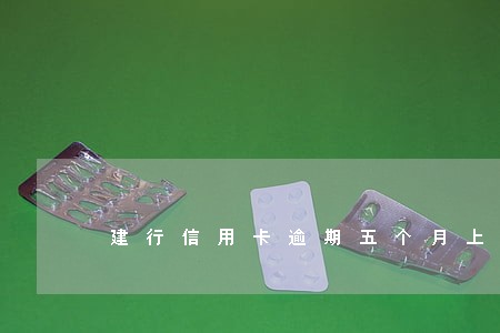建行信用卡逾期五个月上海