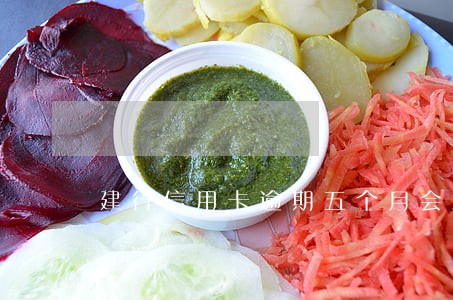 建行信用卡逾期五个月会怎样 建行信用卡逾期五个月会怎样