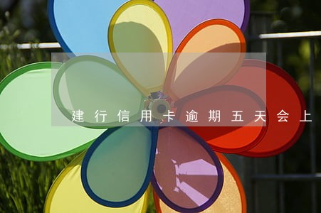 建行信用卡逾期五天会上征信吗