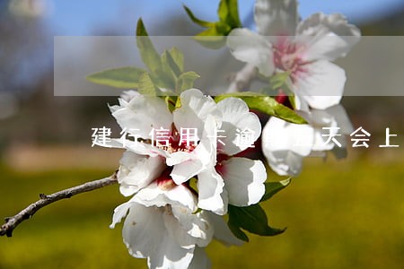 建行信用卡逾期五天会上门吗 建行信用卡逾期五天会上门吗