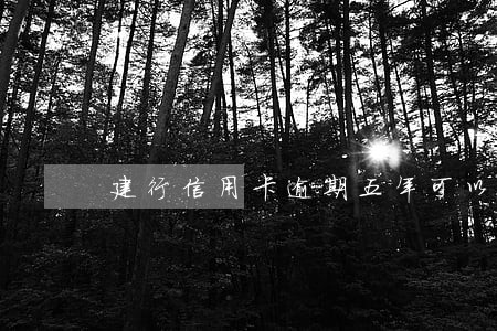 建行信用卡逾期五年可以协商还吗 建行信用卡逾期五年可以协商还吗
