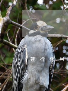 建行信用卡逾期五年无力偿还