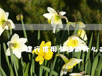 建行信用卡逾期什么办