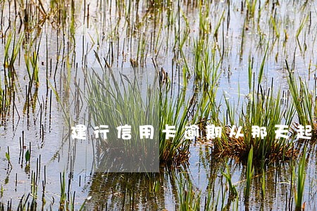 建行信用卡逾期从那天起算 建行信用卡逾期从那天起算