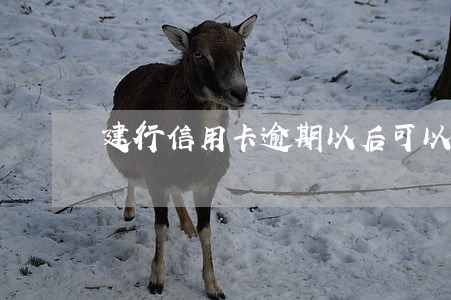 建行信用卡逾期以后可以免息吗