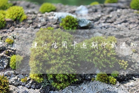 建行信用卡逾期仲裁通知