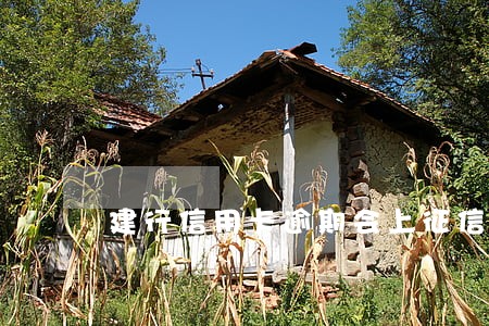 建行信用卡逾期会上征信中心吗