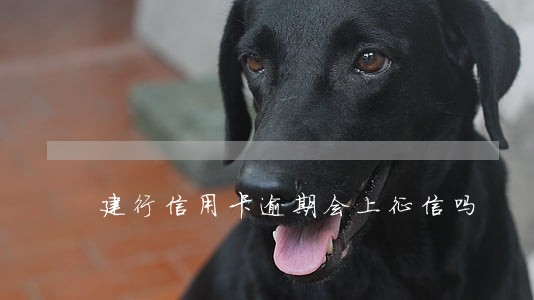 建行信用卡逾期会上征信吗