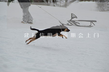 建行信用卡逾期会上门 建行信用卡逾期会上门