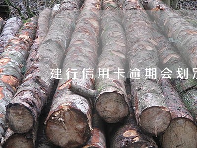 建行信用卡逾期会划别的卡吗