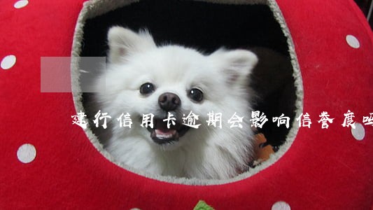 建行信用卡逾期会影响信誉度吗 建行信用卡逾期会影响信誉度吗