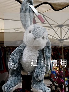 建行信用卡逾期会打电话吗 建行信用卡逾期会打电话吗