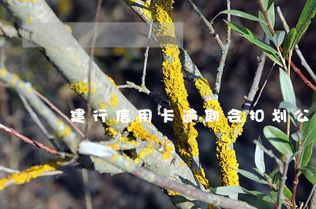 建行信用卡逾期会扣划公积金吗 建行信用卡逾期会扣划公积金吗