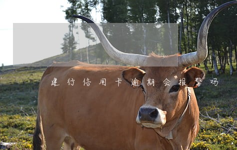 建行信用卡逾期会报警吗