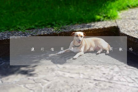 建行信用卡逾期会罚款吗 建行信用卡逾期会罚款吗