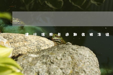 建行信用卡逾期会被冻结账户吗 建行信用卡逾期会被冻结账户吗