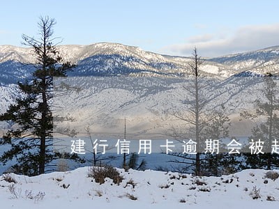 建行信用卡逾期会被起诉吗 建行信用卡逾期会被起诉吗